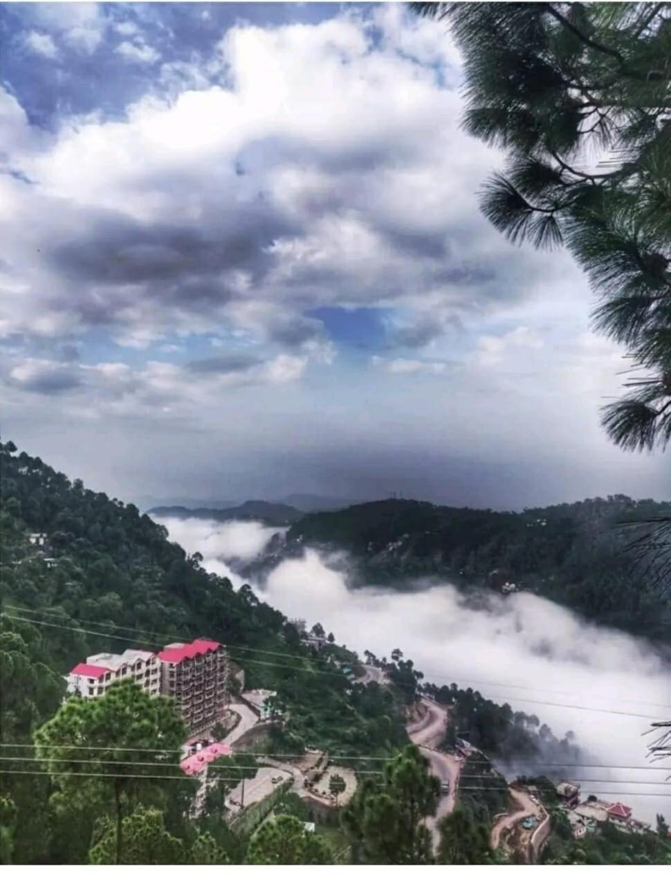 2Bhk Furnished Apartment/Near Kasauli/Barog/Luv Fun & Adventure Solan Esterno foto