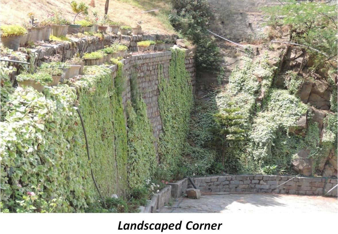 2Bhk Furnished Apartment/Near Kasauli/Barog/Luv Fun & Adventure Solan Esterno foto